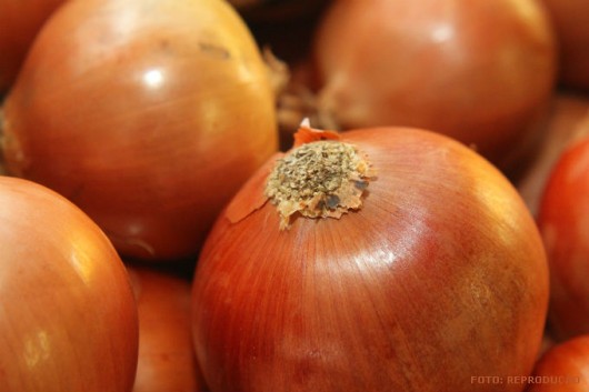 Horta - como plantar Cebola (Allium Cepa L) Horta - como plantar Cebola (Allium Cepa L)