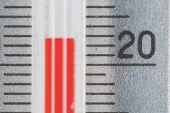 Temperatura ideial para fermentação. Temperatura ideial para fermentação.