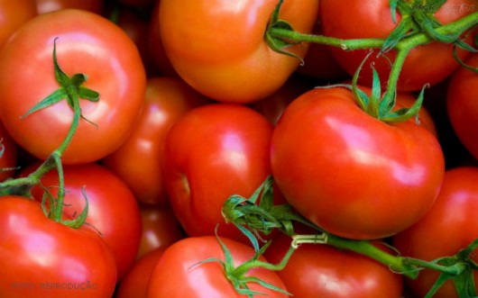 Horta - como plantar Tomate. Horta - como plantar Tomate.