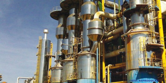 Cana-de-açúcar - Beneficiamento Cana-de-açúcar - Beneficiamento