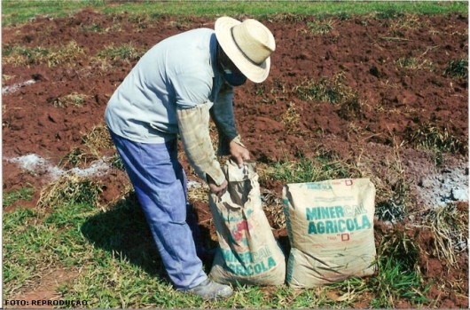 Cana-de-açúcar - Adubação Mineral Cana-de-açúcar - Adubação Mineral