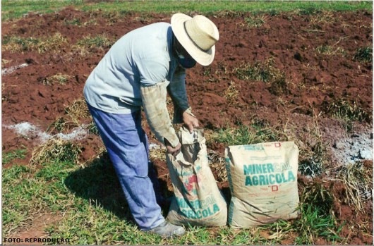 Cana-de-açúcar - Adubação Mineral