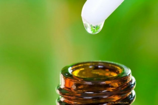 Criação Orgânica de Cabras Leiteiras - ação do medicamento homeopático nos vermes Criação Orgânica de Cabras Leiteiras - ação do medicamento homeopático nos vermes