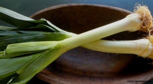 Horta - como plantar Alho Poró (Allium porrum ) Horta - como plantar Alho Poró (Allium porrum )