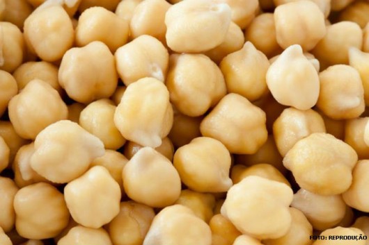 Horta - como plantar Grão-de-bico (Cicer arietinum L.) Horta - como plantar Grão-de-bico (Cicer arietinum L.)