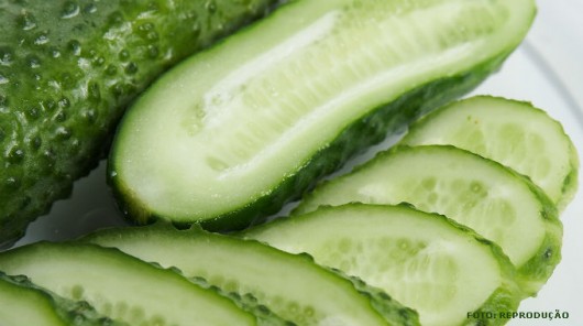 Horta - como plantar Pepino (Cucumis sativus) Horta - como plantar Pepino (Cucumis sativus)