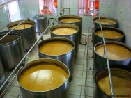 Um dos fatores que influencia na duração da fermentação do mosto, é a deficiência de vitaminas do caldo Um dos fatores que influencia na duração da fermentação do mosto, é a deficiência de vitaminas do caldo