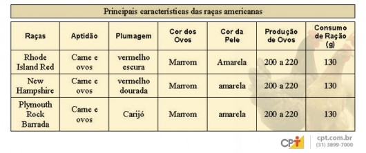 Frango e Galinha Caipira - Raças Americanas