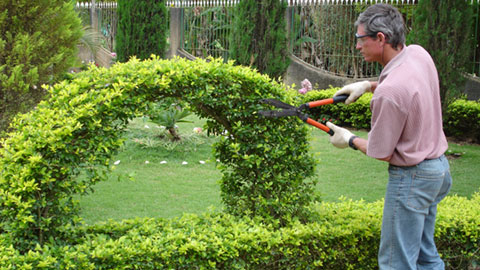 Curso de jardineiro